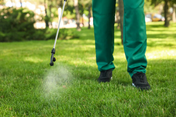 Professional Pest Control in Caseyville, IL