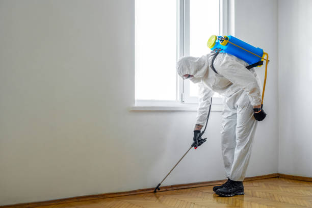 Best Pest Control Near Me  in Caseyvle, IL