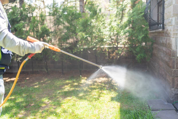 Best Pest Prevention Services  in Caseyvle, IL