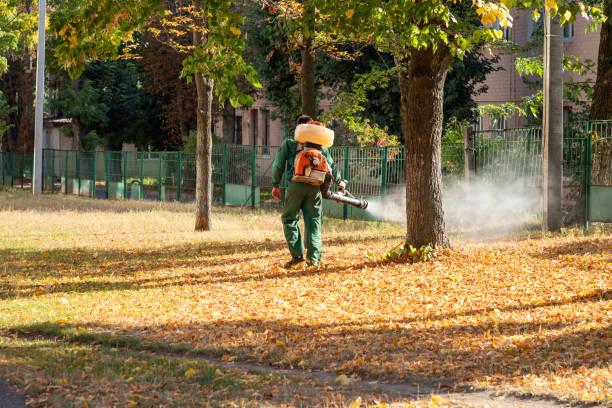 Best Spider Control Near Me  in Caseyvle, IL