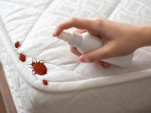 Best Best Pest Control Companies  in Caseyvle, IL